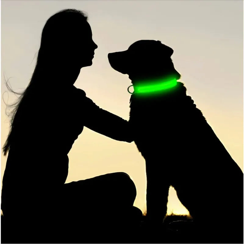 Collier lumineux pour chien  - 💖OFFRE💖 Mayaledog™