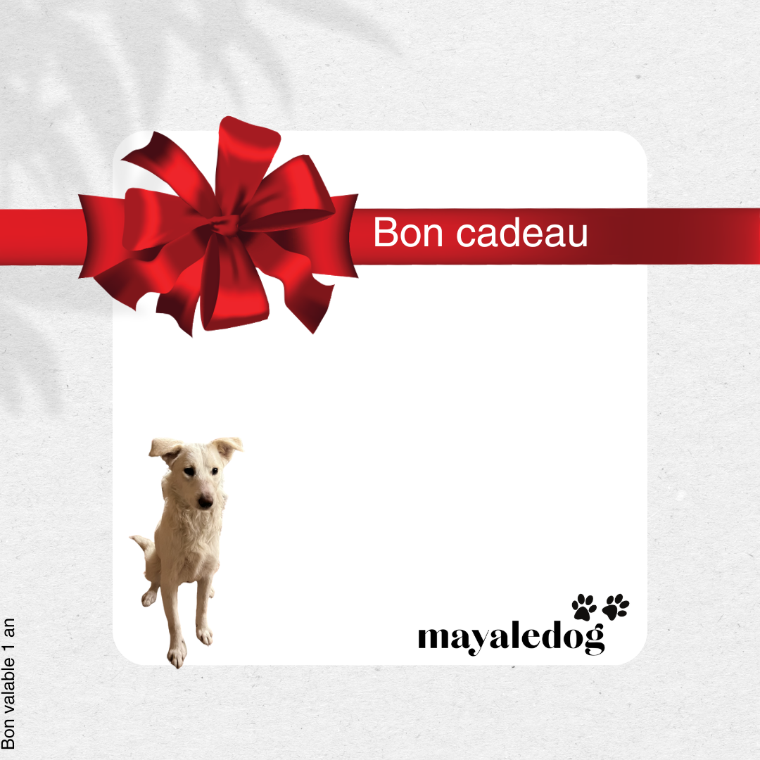 CARTE CADEAU MAYALEDOG