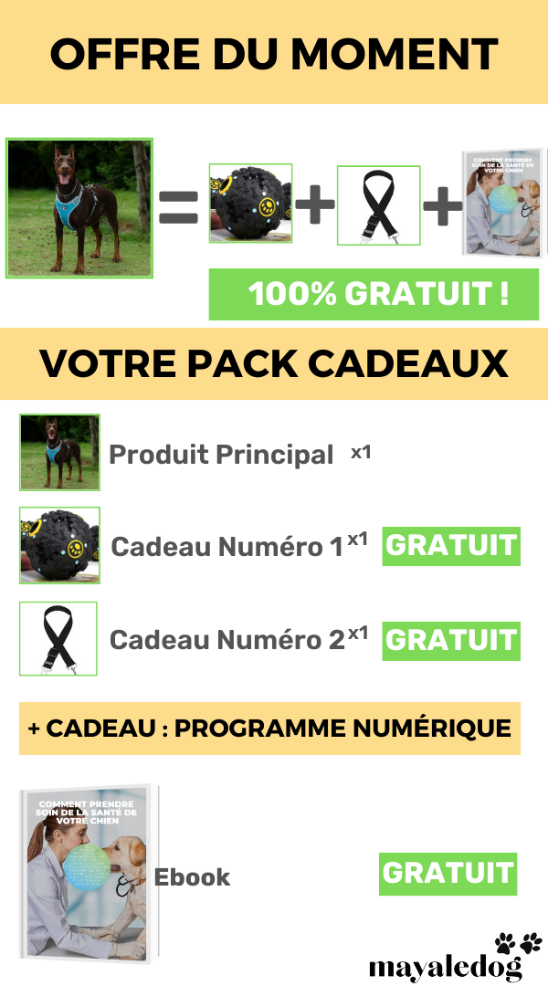 💖 PROMO du moment  et cadeaux💖 avec votre  HARNAIS mayaledog™