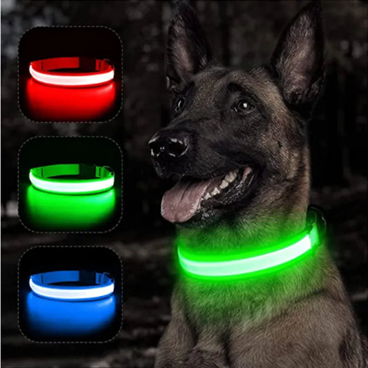 Collier lumineux pour chien  - 💖OFFRE💖 Mayaledog™