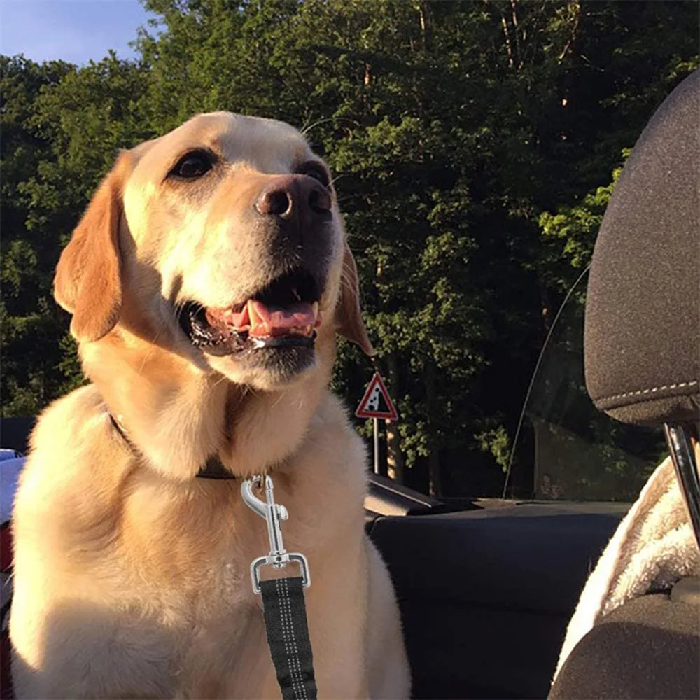 Ceinture de sécurité pour chien - Mayaledog™