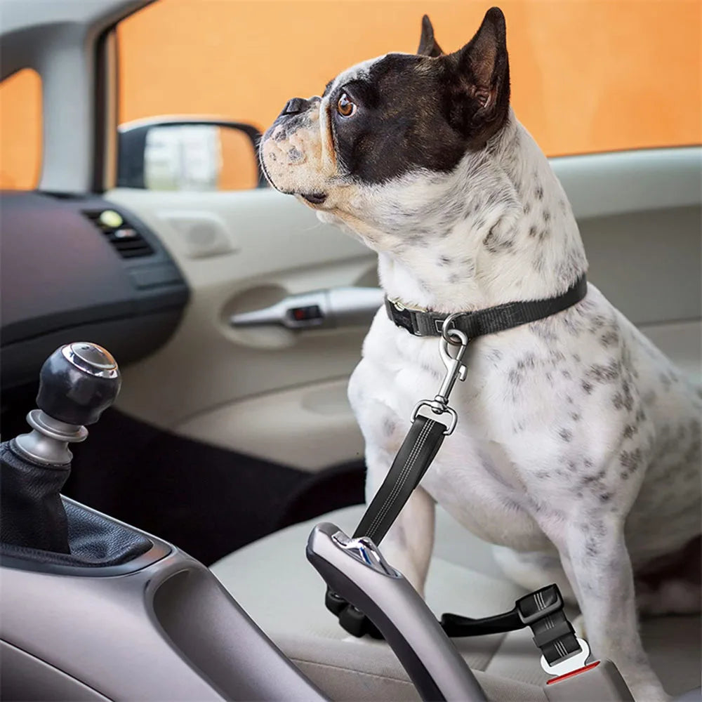 Animal de compagnie chien chat voiture ceinture de sécurité réglable harnais