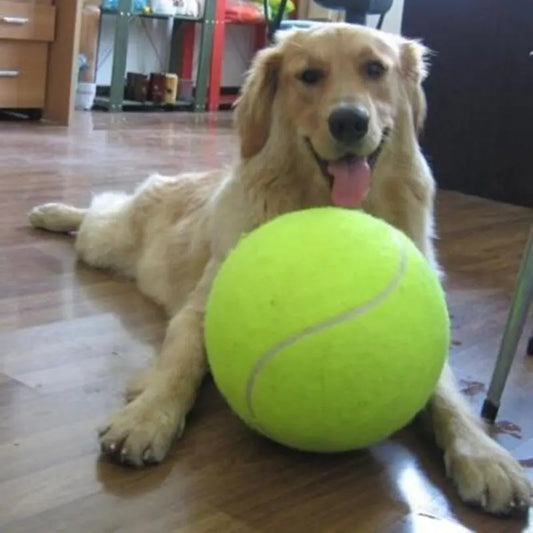 Balle de tennis chien - Mayaledog™